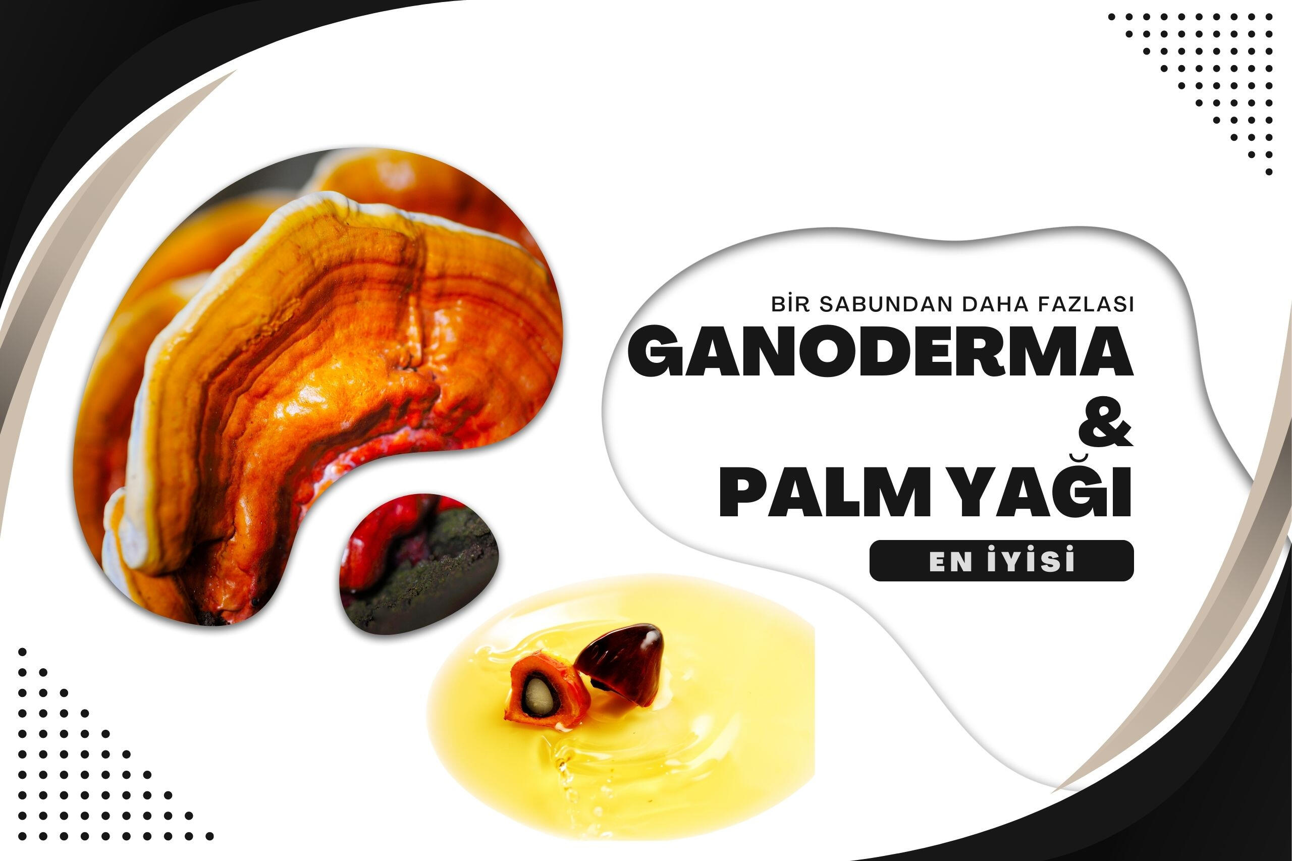 Ganoderma ve Palm yağı ile etkili cilt bakımı